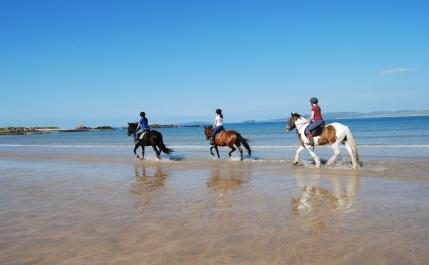 Horse Riding Activity near King Thomond Hotel